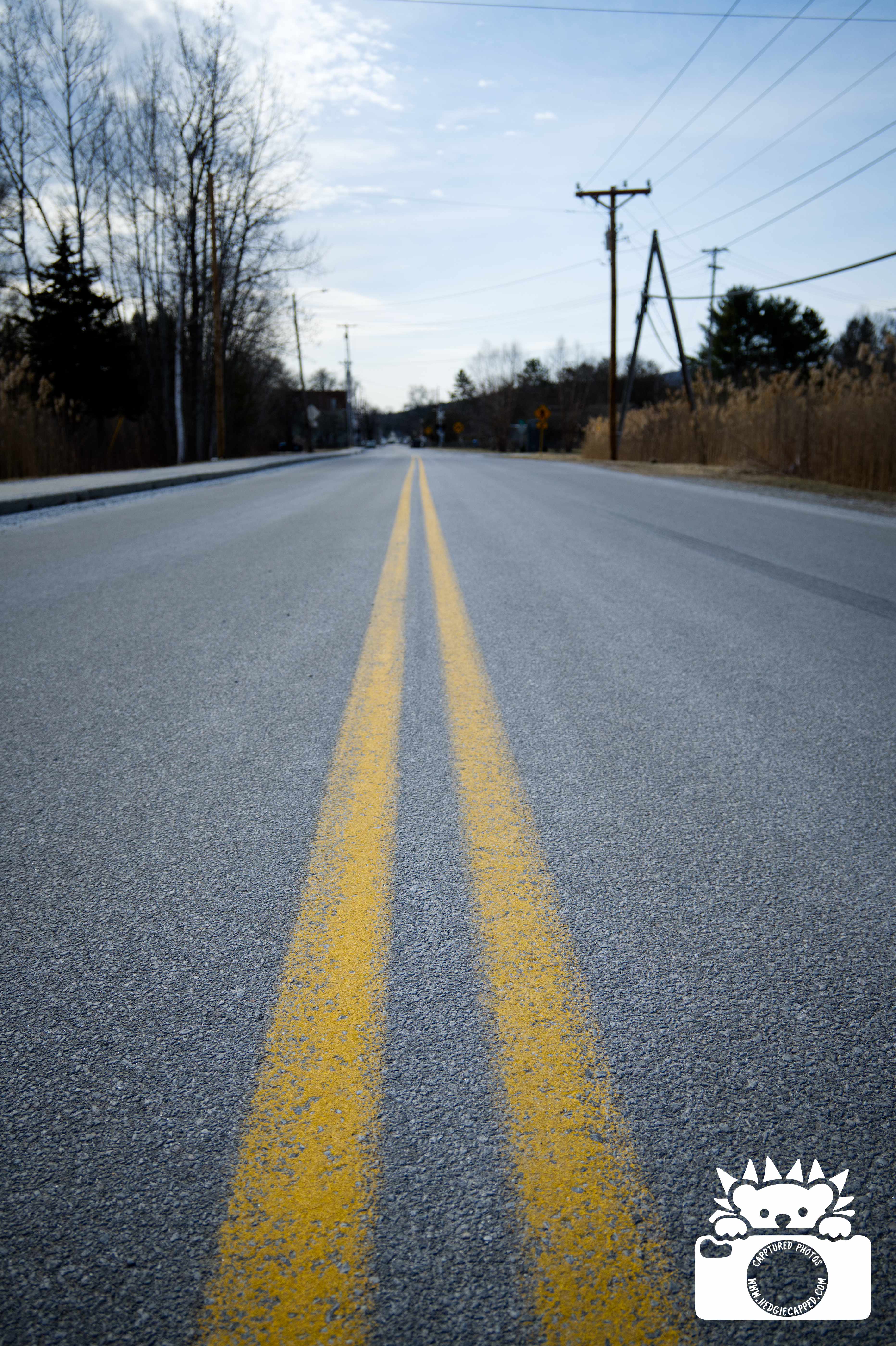 03.30.26: Playing with focus